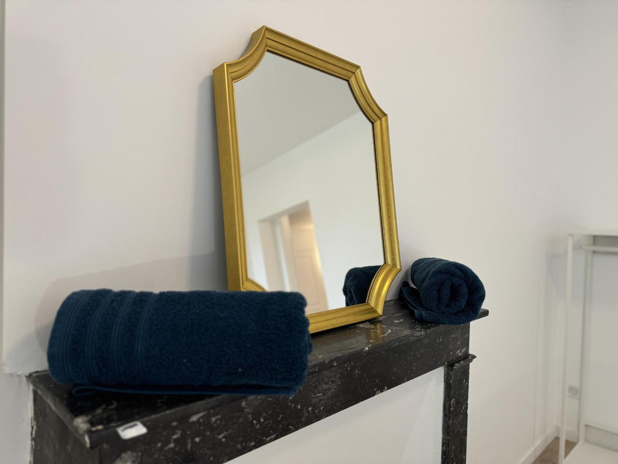 Les Lys Bleus - 4Pers - Reve Au Mans Apartment เลอม็องส์ ภายนอก รูปภาพ